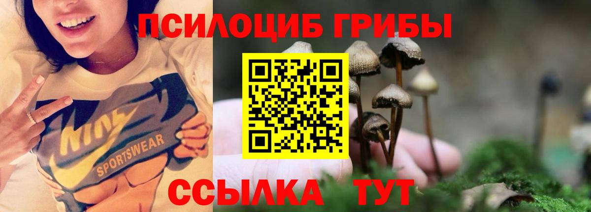 Псилоцибиновые грибы GOLDEN TEACHER Нижнеудинск