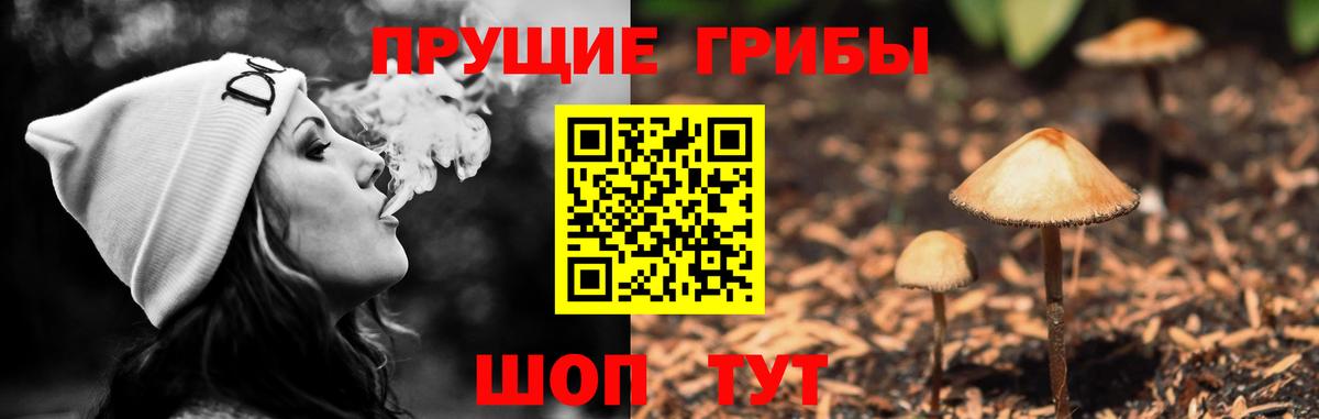 Псилоцибиновые грибы мухоморы  Галлюциногенные грибы мицелий  Вход с VPN  Нижнеудинск 